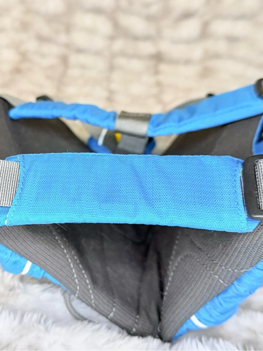 Ruffwear Singletrak Dog Hydration Vest in Bright Blue with Lime Accents